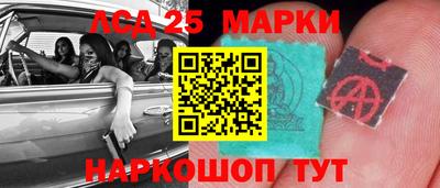 амфетамин Гатчина